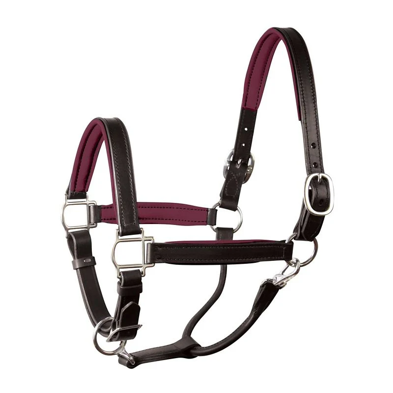 Perri's Soft Padded Leather Halter - Image 8