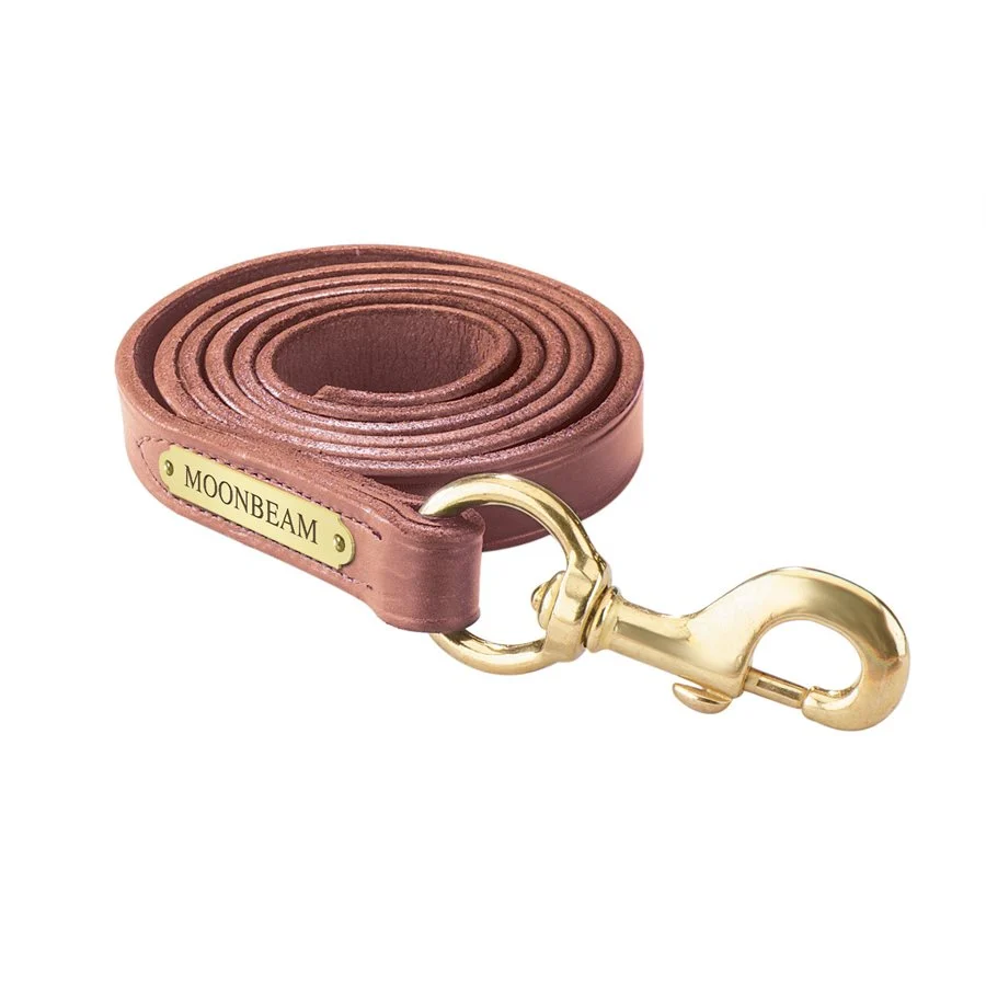 Perri's Personalized Leather Lead with Snap - Image 2