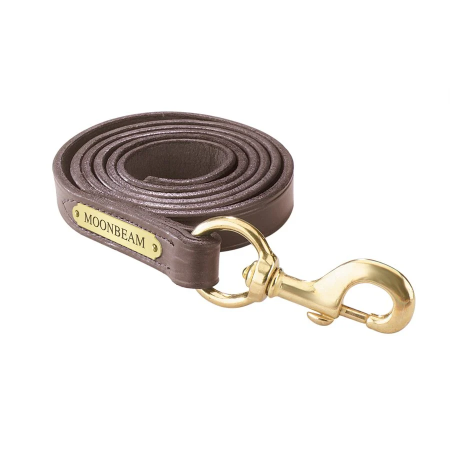 Perri's Personalized Leather Lead with Snap - Image 3