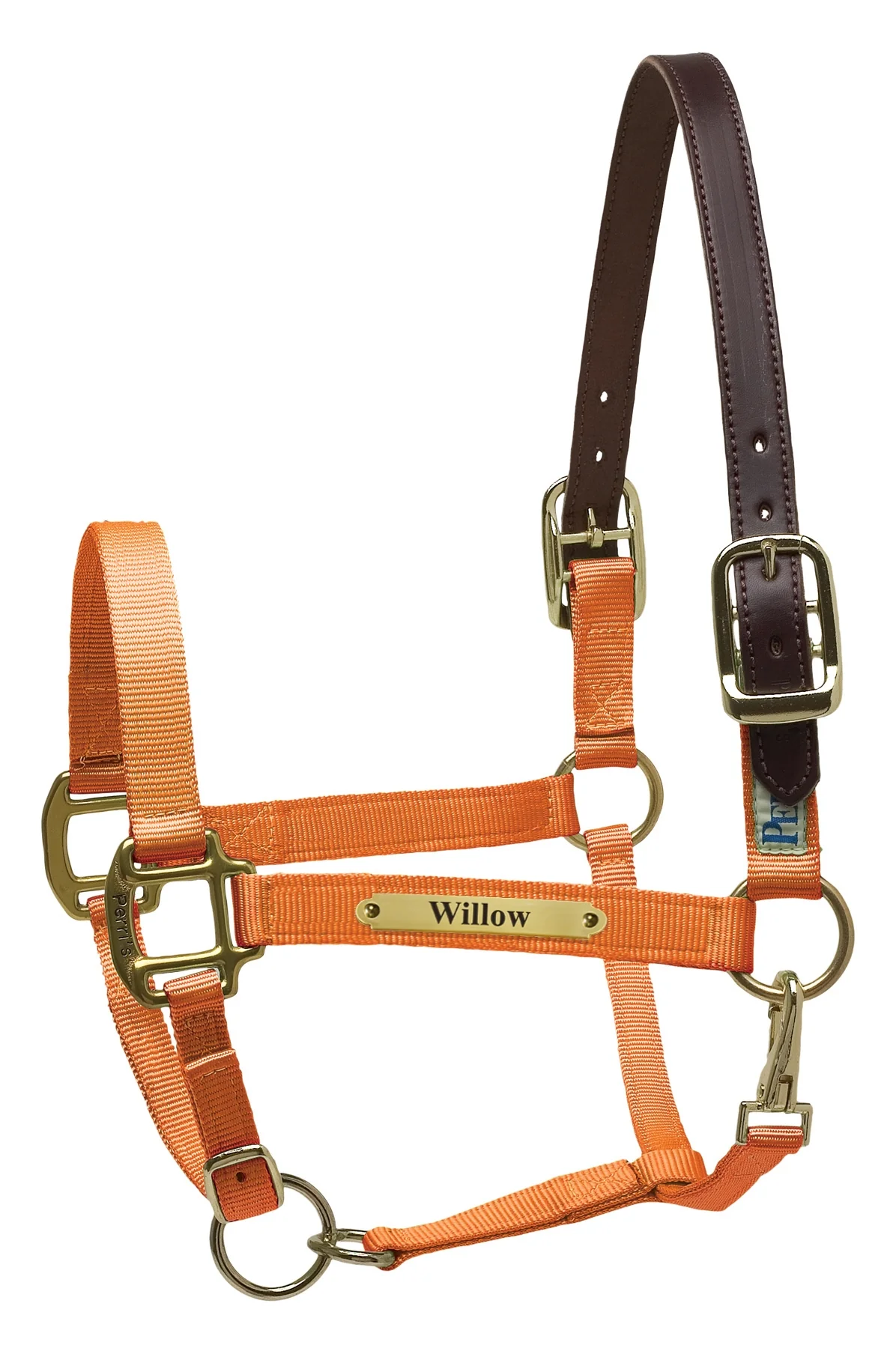 Perri's Personalized Premium Nylon Safety Halter - Image 8