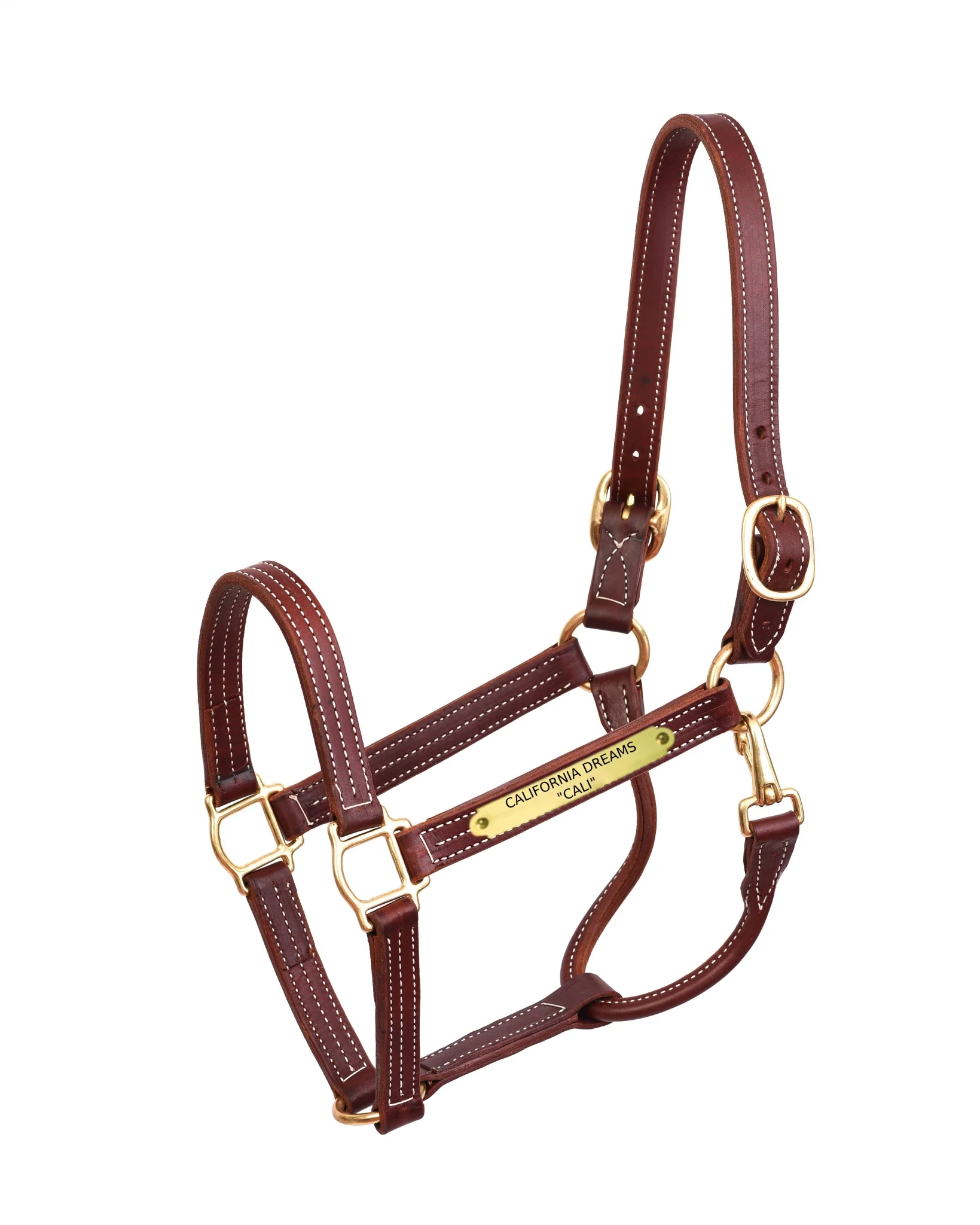 Perri's Personalized Professional Halter - Image 2