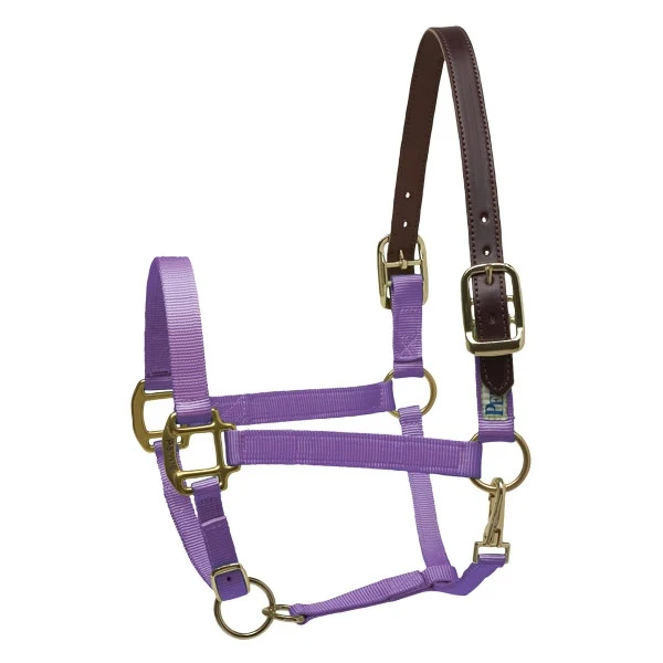 Perris Ribbon Safety Halter Cob Hunter/Horseshoe
