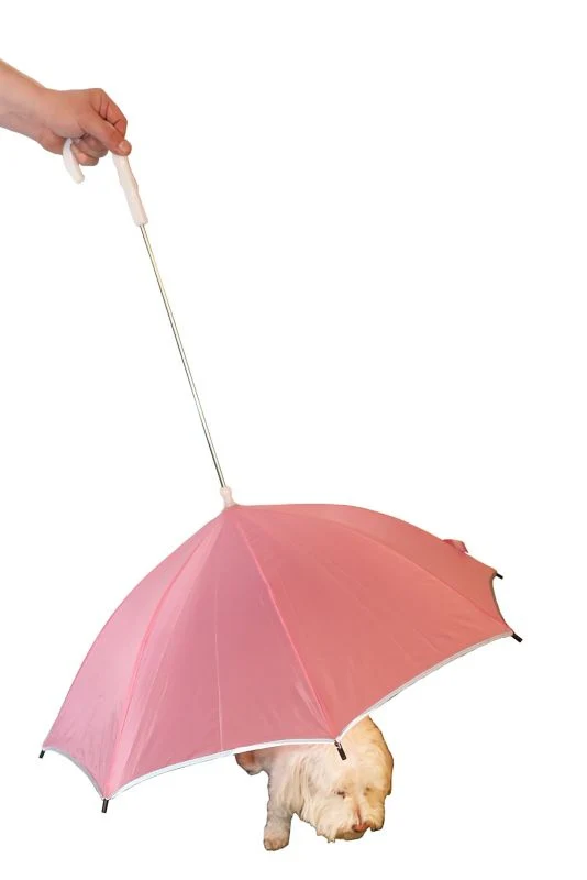 Pet Life Umbrella and Leash Holder