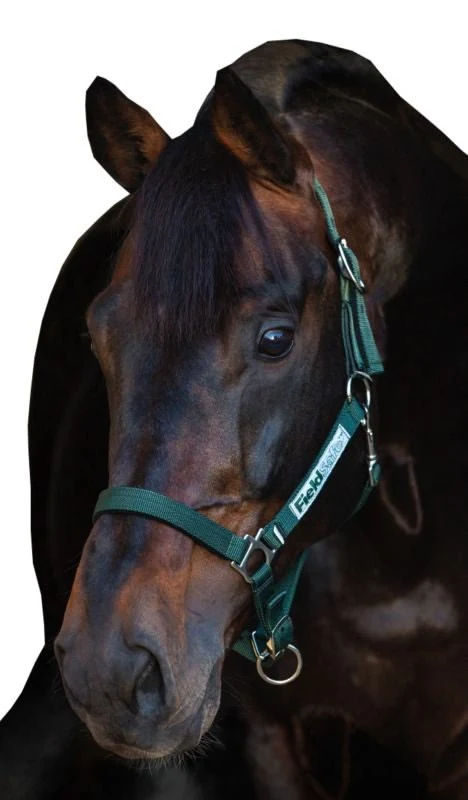 Rambo FIELDSAFE Safety Halter