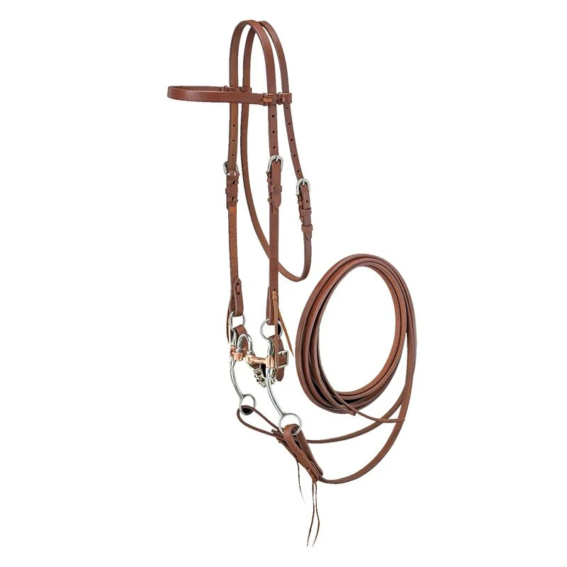 Royal King Browband Bridle Set with Correction Bit