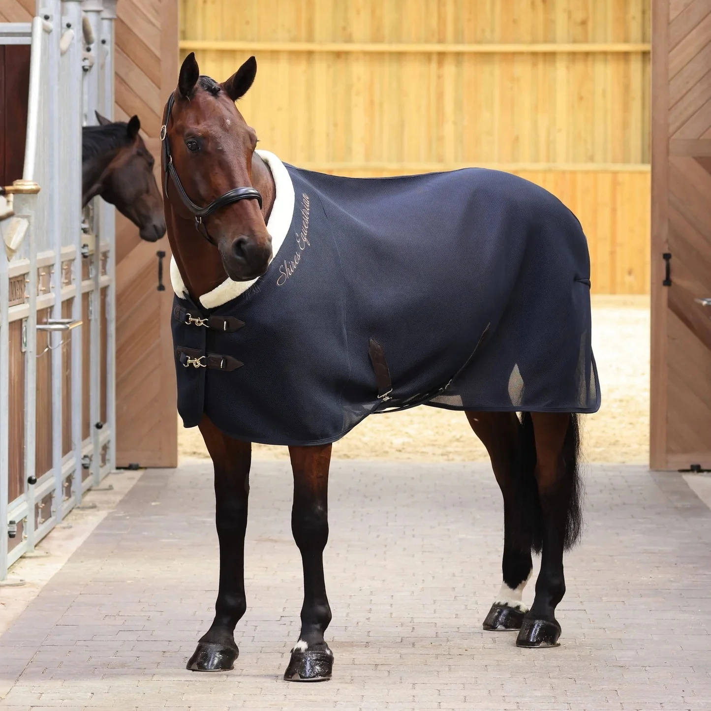 Shires Deluxe Air Motion Cooler - Image 2