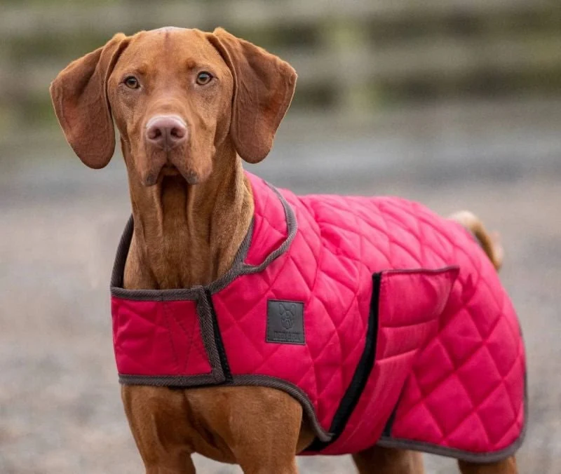 Shires Digby Fox Quilted Dog Coat - Image 2