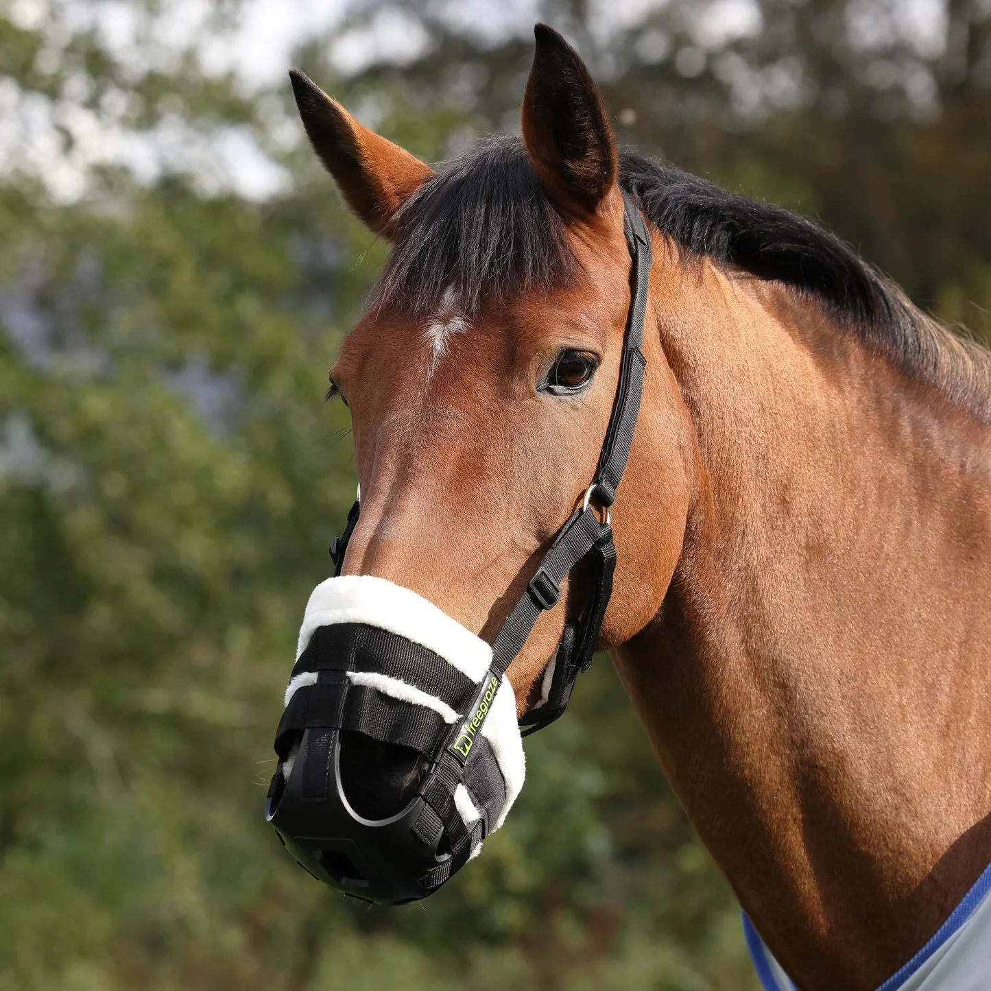 Shires FreeGraze AirFlow Grazing Muzzle - Image 2