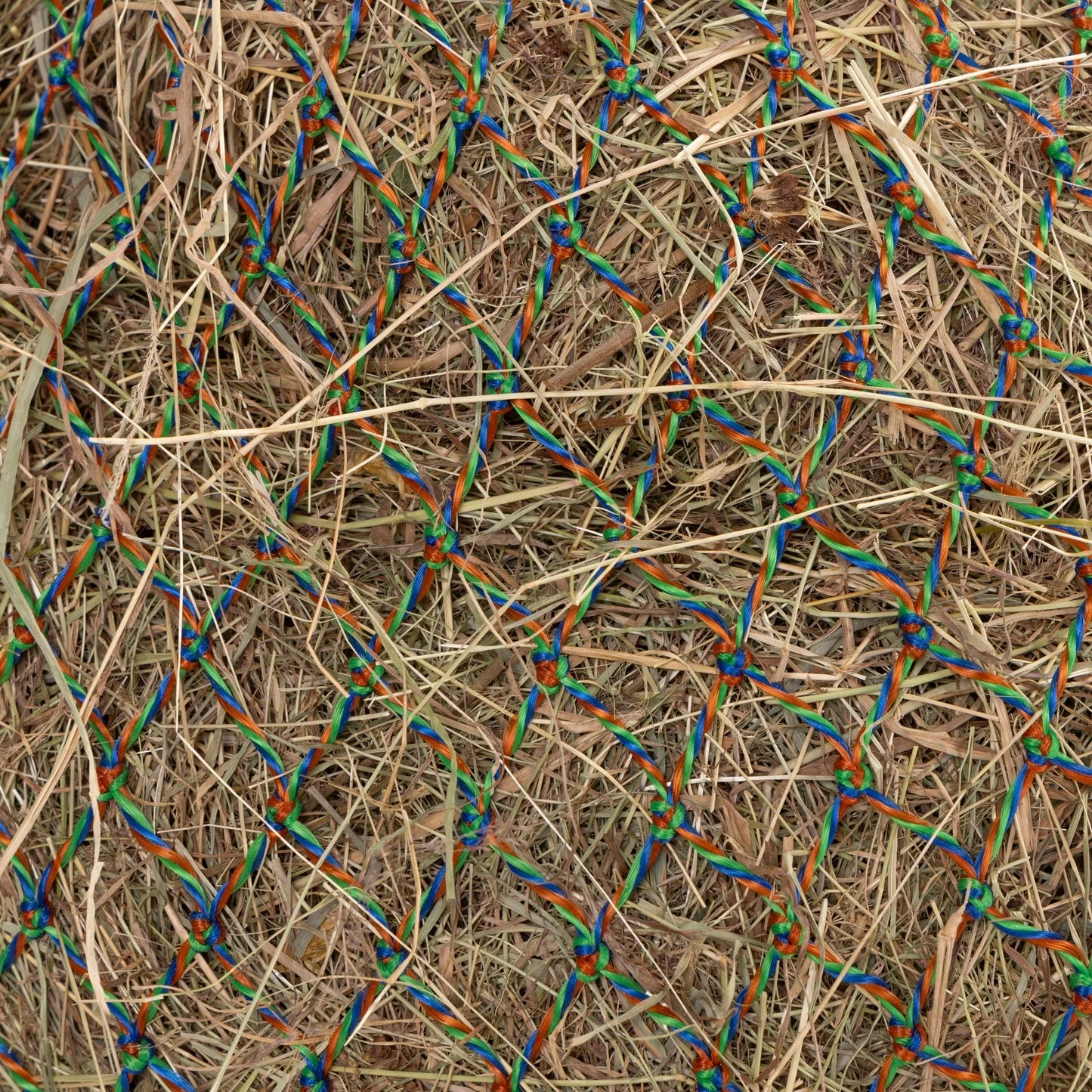 Shires Greedy Feeder Color-Twist Net - Image 7