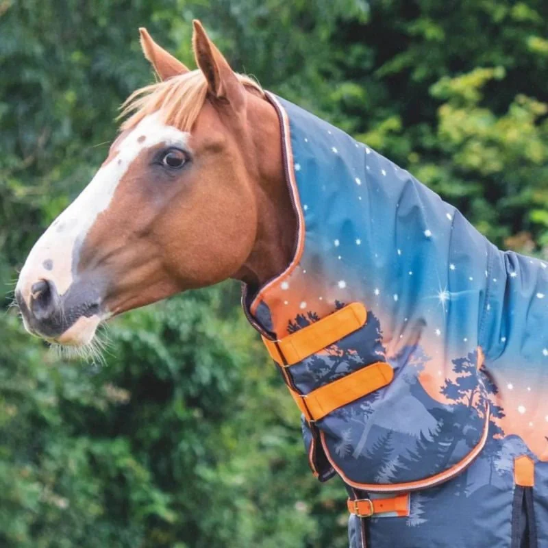 Shires Tempest Org 200g Hood - Image 2