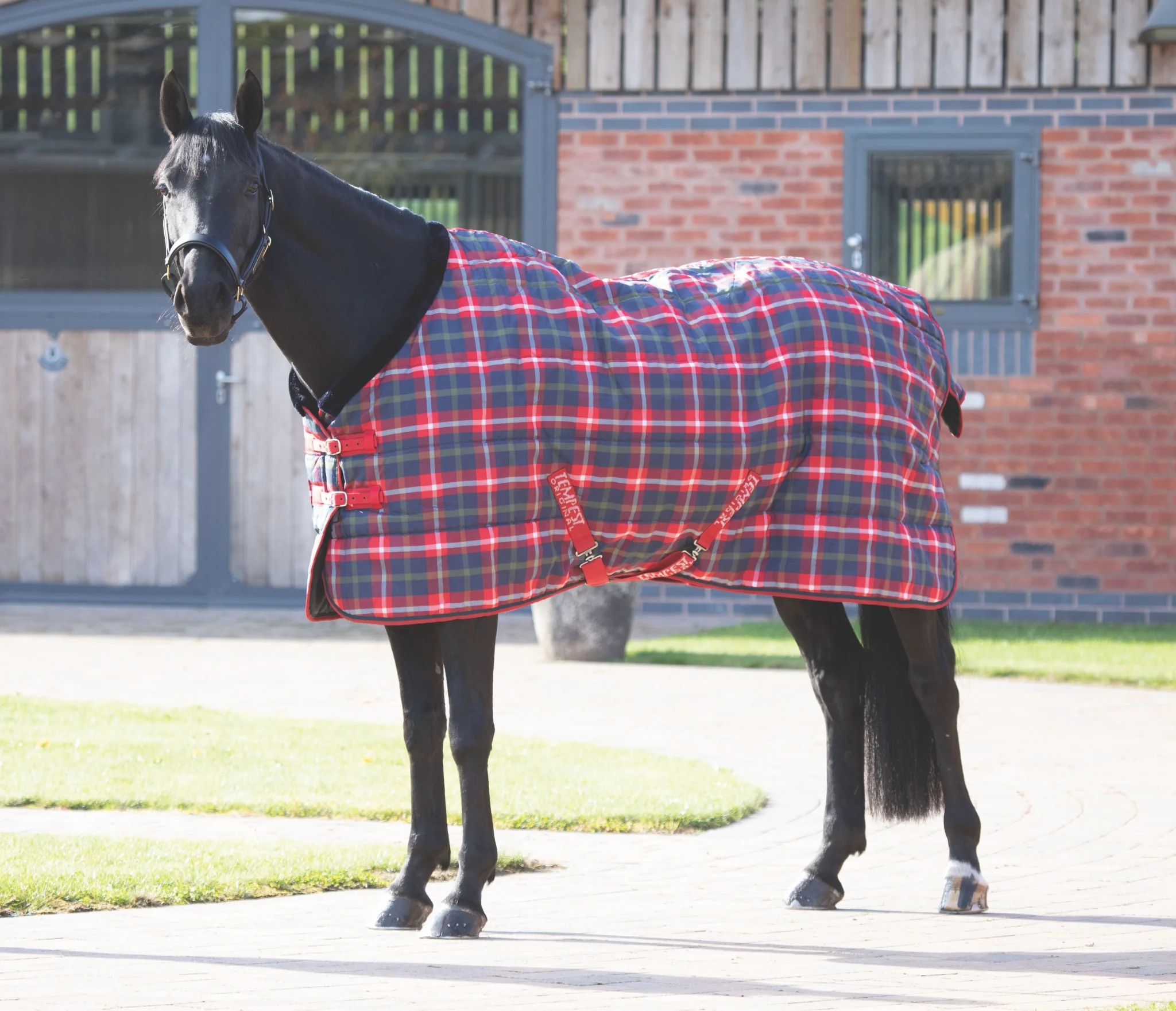 Shires Tempest Plus 200 Stable Blanket - Image 2