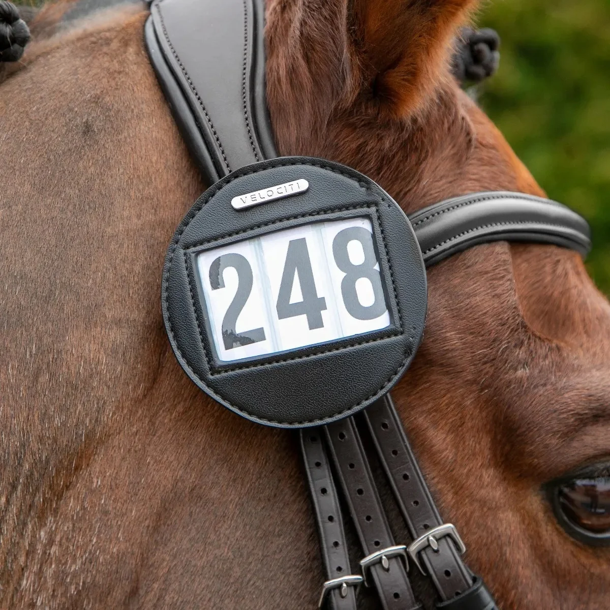 Shires Velociti Bridle Number Holder - Image 4