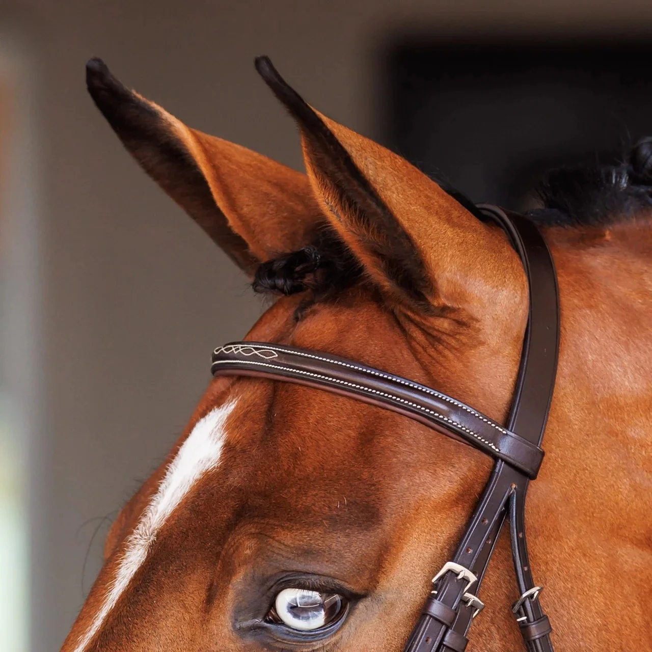 Shires Velociti Fancy Raised Padded Figure 8 Bridle with Fancy Raised Rubber Reins - Image 3