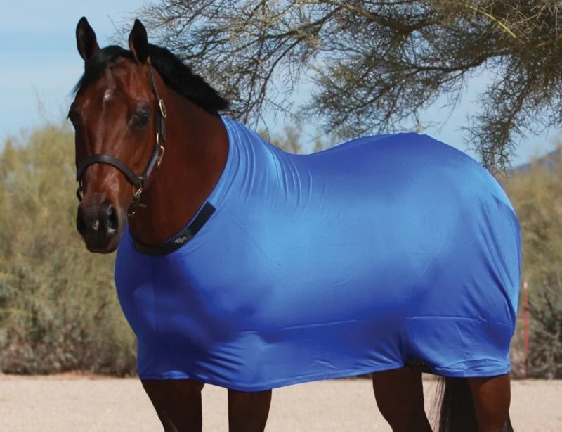 Sleazy Lycra Sheet - Image 2