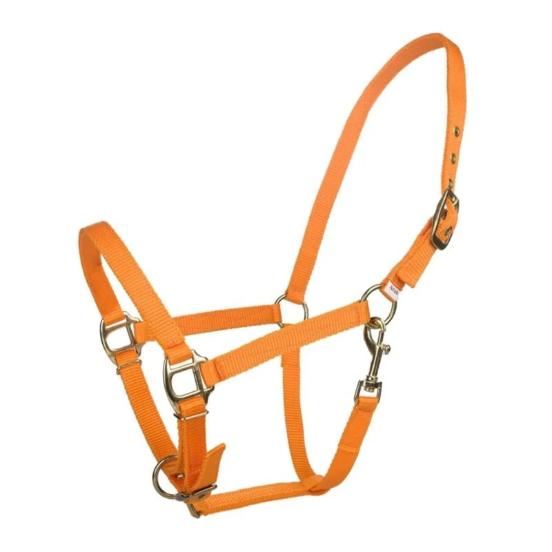 Tabelo Arab Nylon Halter with Snap - Image 3
