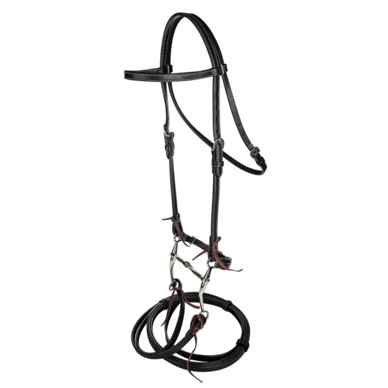 Tabelo Browband Bridle with Bit - Image 2