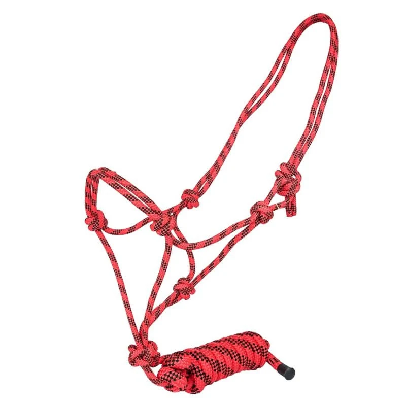 Tabelo Cowboy Rope Halter with Lead - Image 6