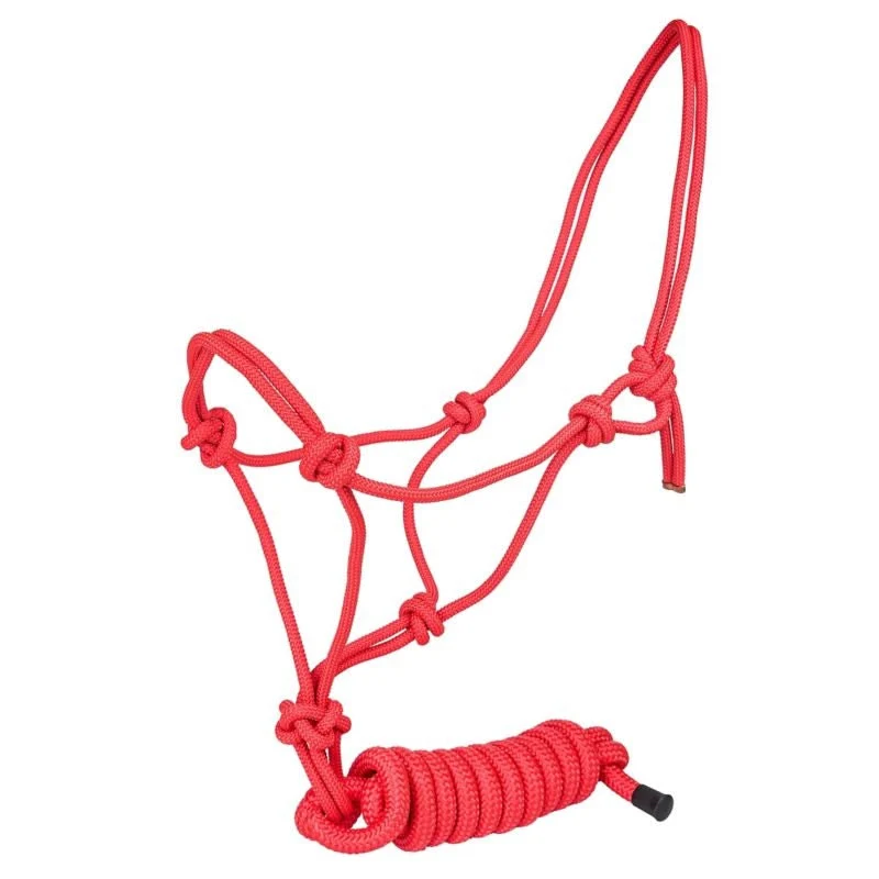 Tabelo Cowboy Rope Halter with Lead - Image 8