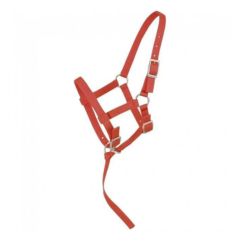Tough1 Adjustable Foal Halter - Image 5