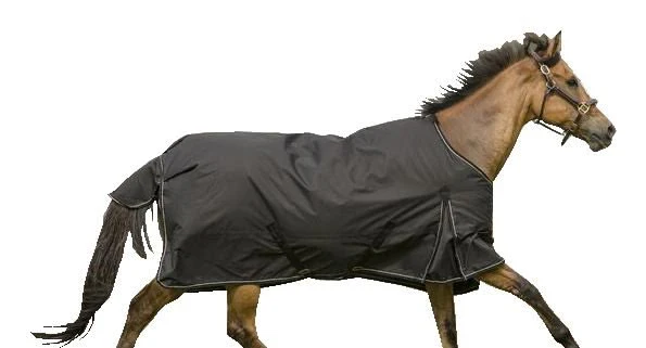 TuffRider 600D Comfy Standard Neck Sheet - Image 2
