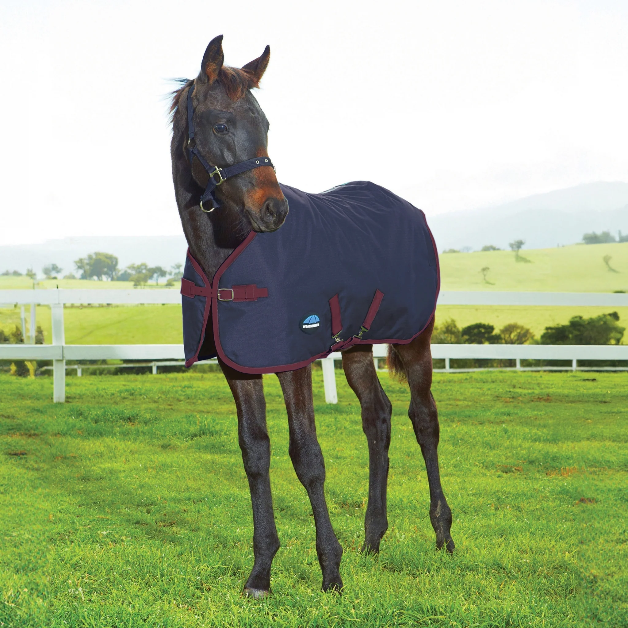 Weatherbeeta 1200D Foal Standard Neck 220g - Image 2