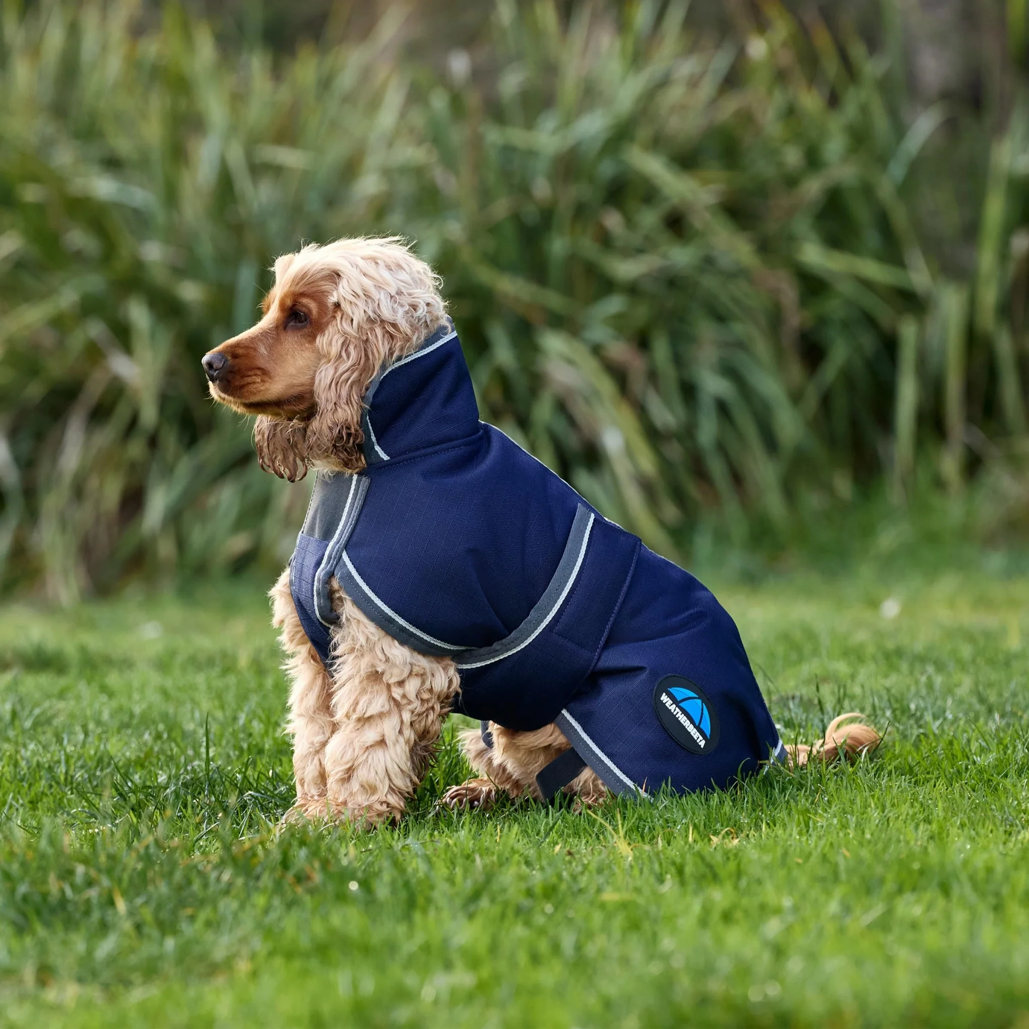 Weatherbeeta ComFiTec 1200D Deluxe Waterproof Dog Coat - Image 3