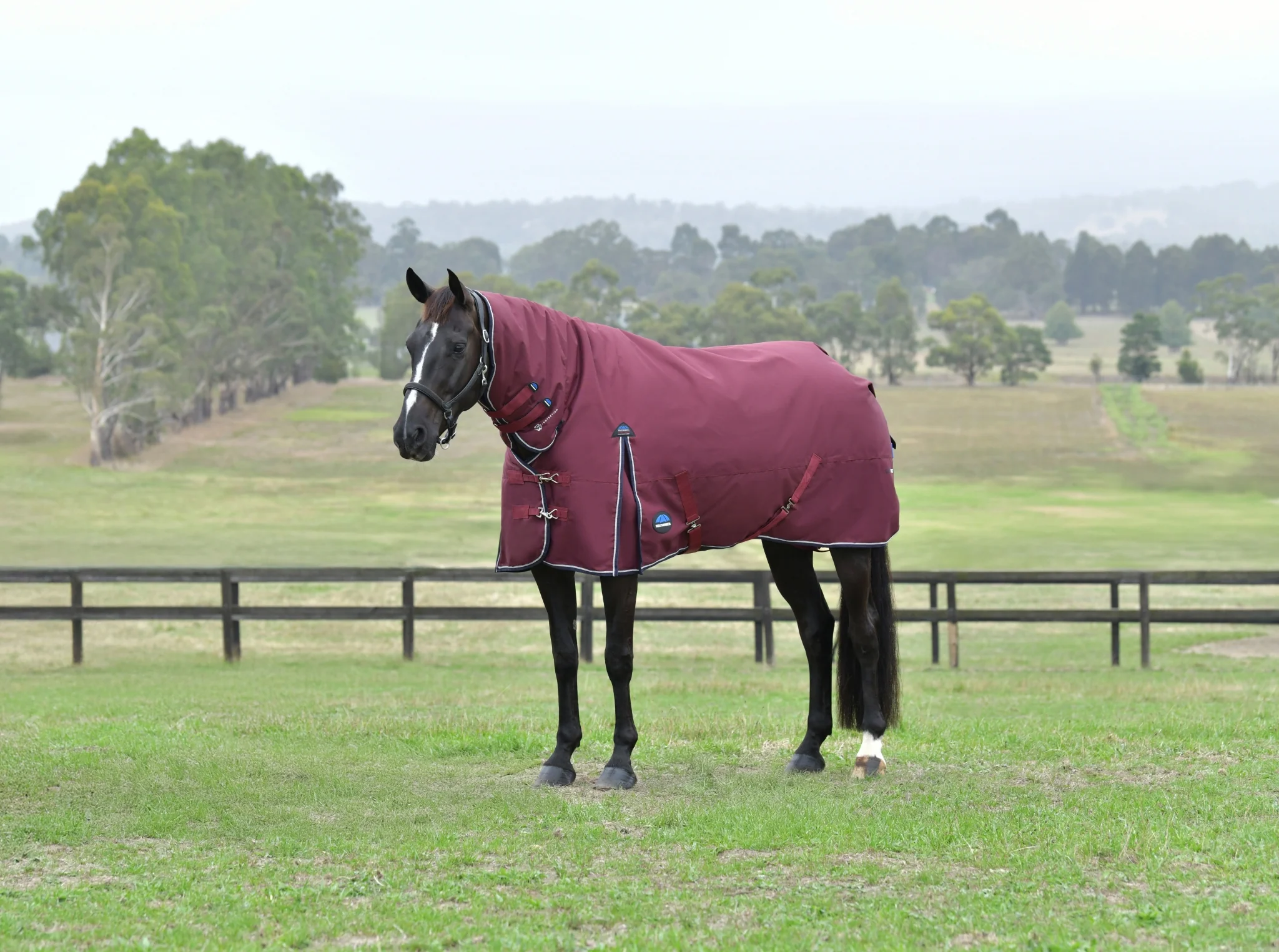 Weatherbeeta ComFiTec Essential Turnout Combo Neck 220g - Image 3