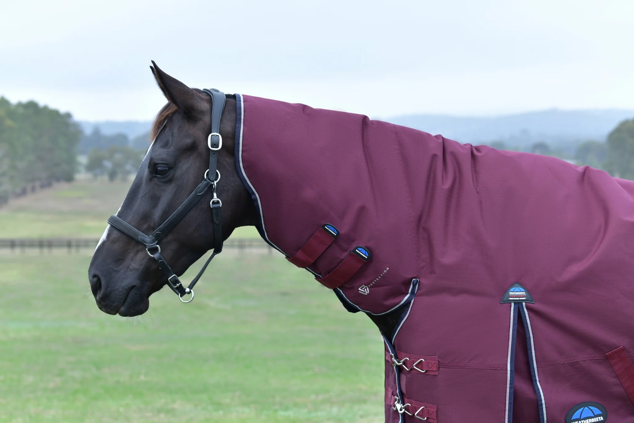 Weatherbeeta ComFiTec Essential Turnout Combo Neck 220g - Image 4