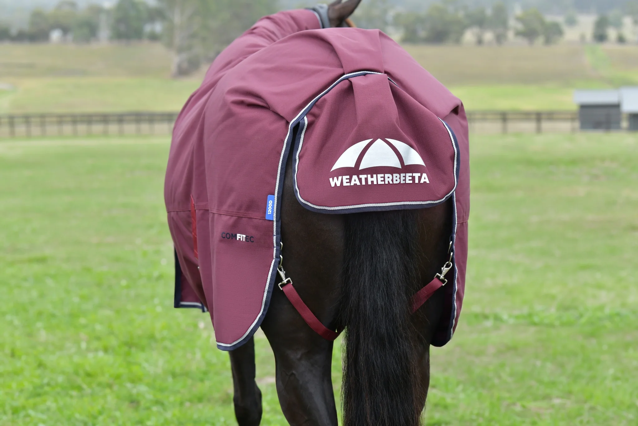 Weatherbeeta ComFiTec Essential Turnout Combo Neck 220g - Image 6
