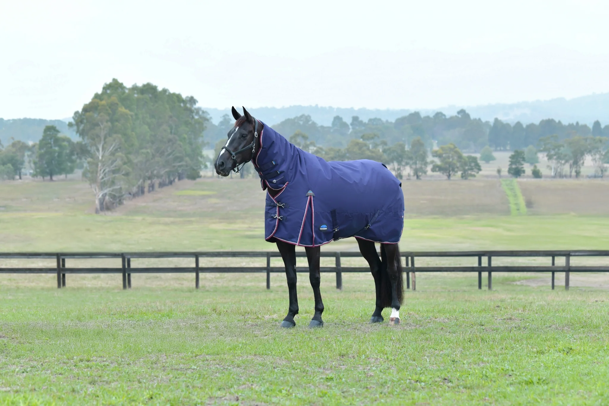 Weatherbeeta ComFiTec Essential Turnout Combo Neck 220g - Image 7