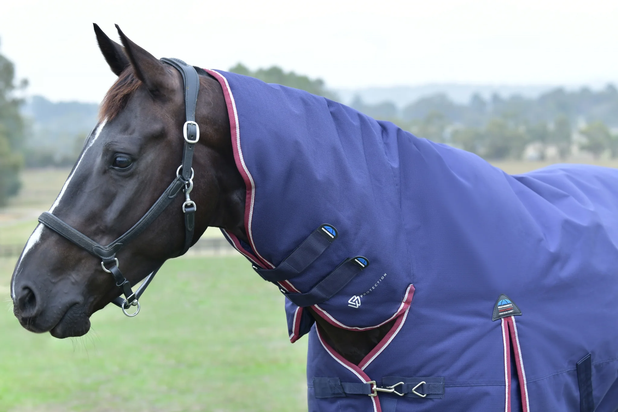 Weatherbeeta ComFiTec Essential Turnout Combo Neck 220g - Image 8
