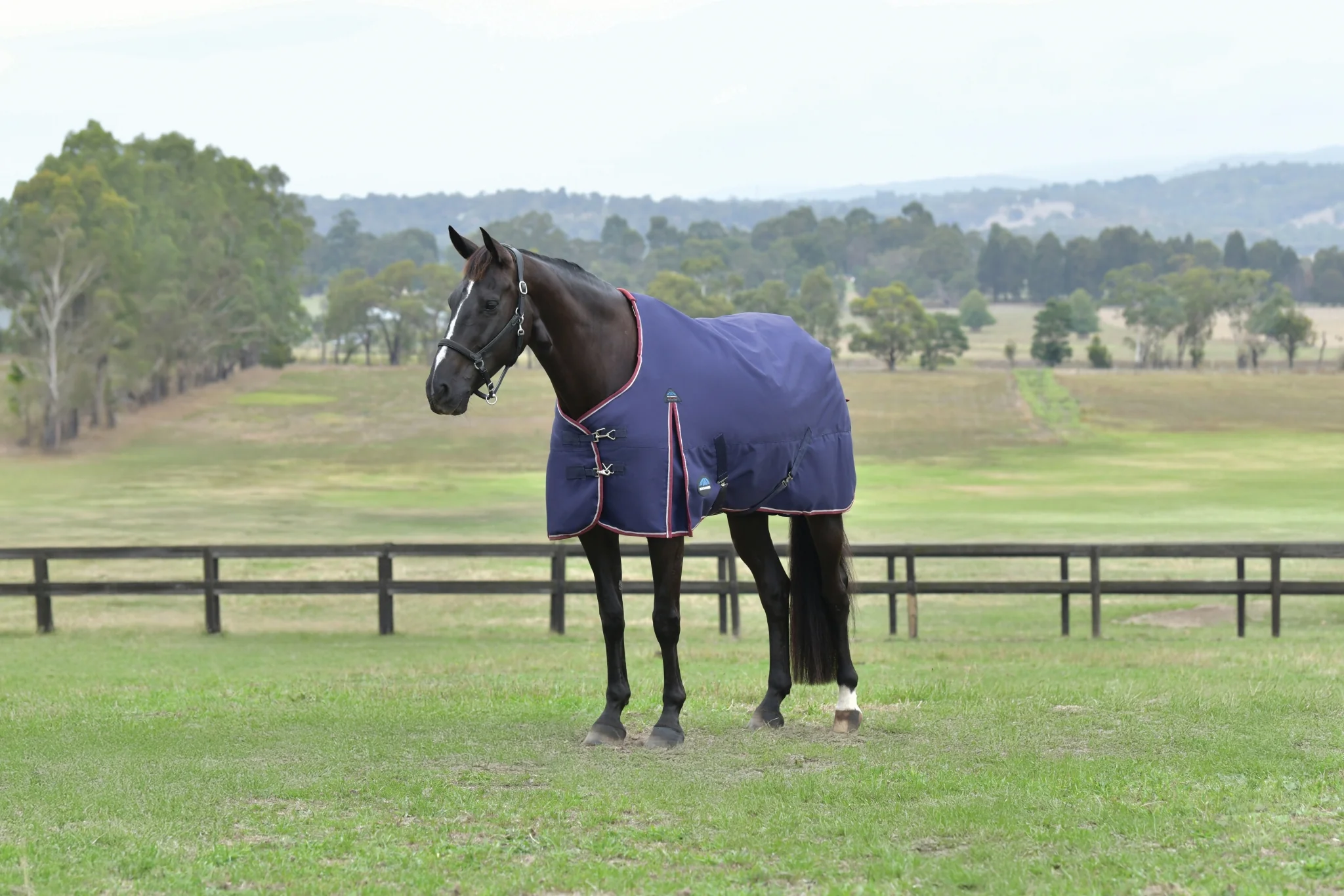 Weatherbeeta ComFiTec Essential Turnout Standard Neck 220g - Image 11