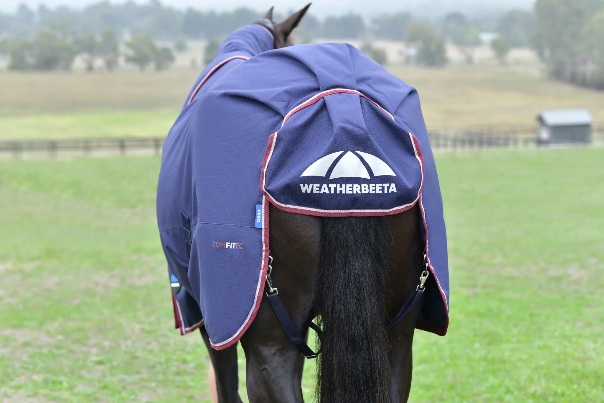 Weatherbeeta ComFiTec Essential Turnout Detach-A-Neck 220g - Image 10