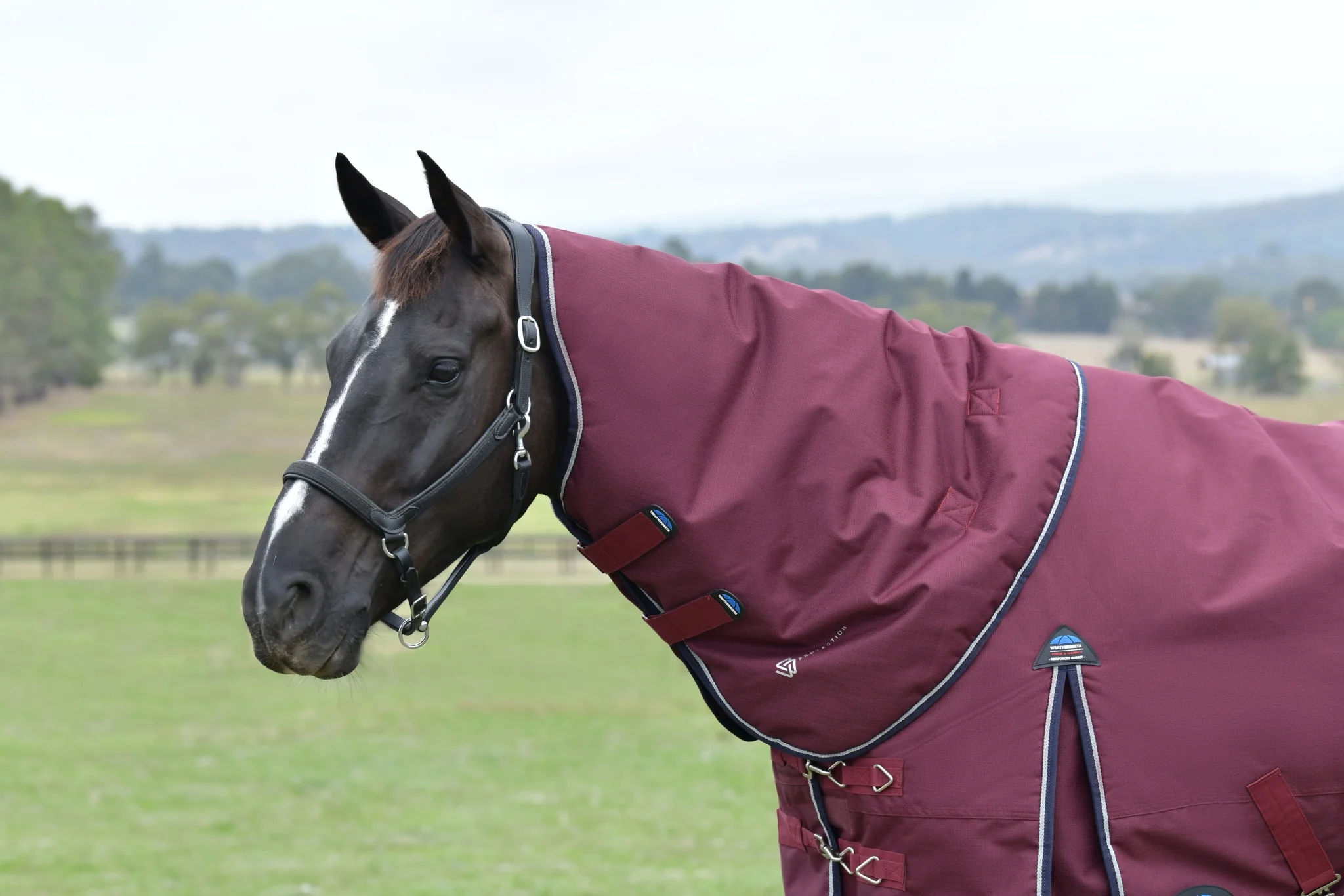 Weatherbeeta ComFiTec Essential Turnout Detach-A-Neck 220g - Image 3