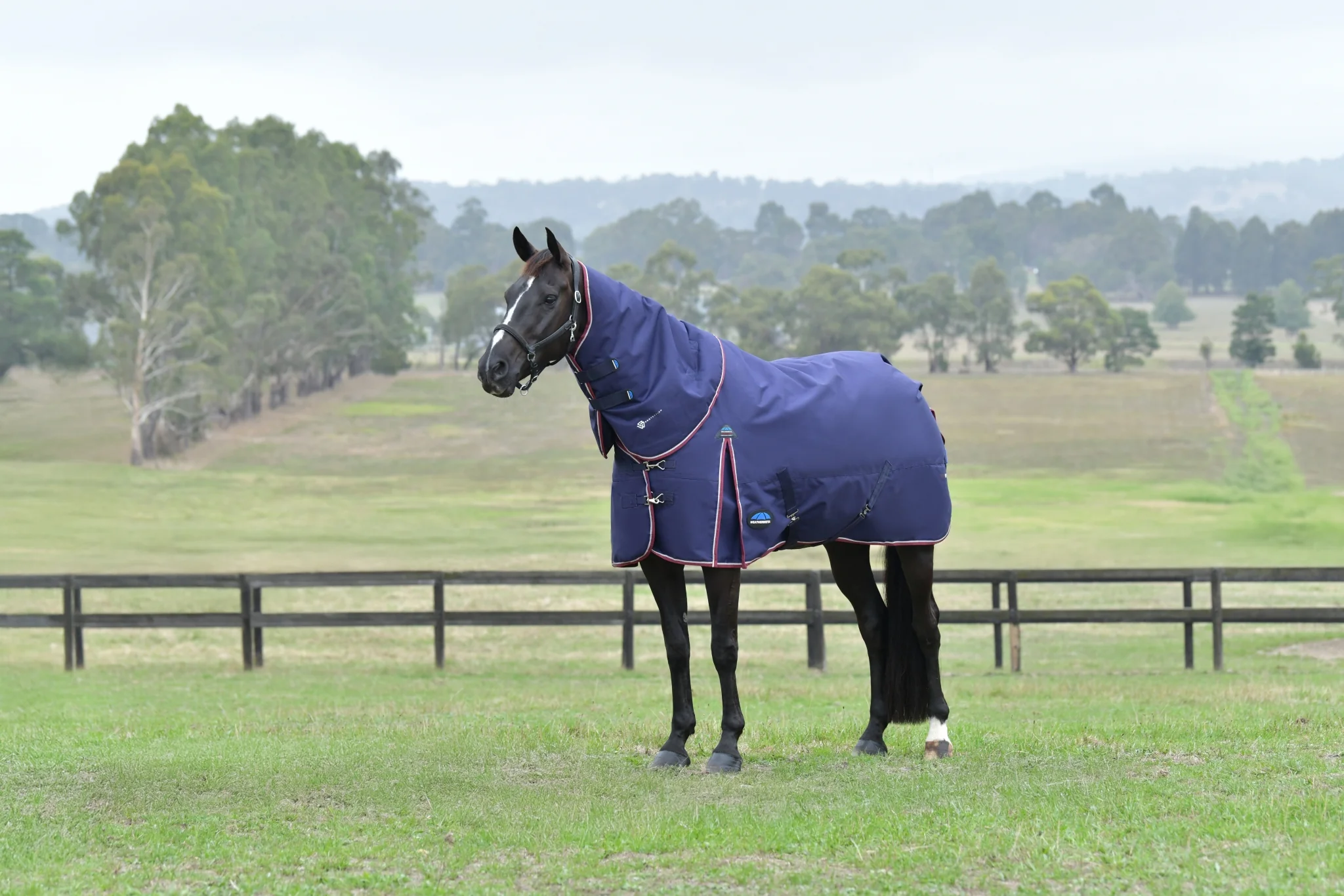 Weatherbeeta ComFiTec Essential Turnout Detach-A-Neck 220g - Image 7