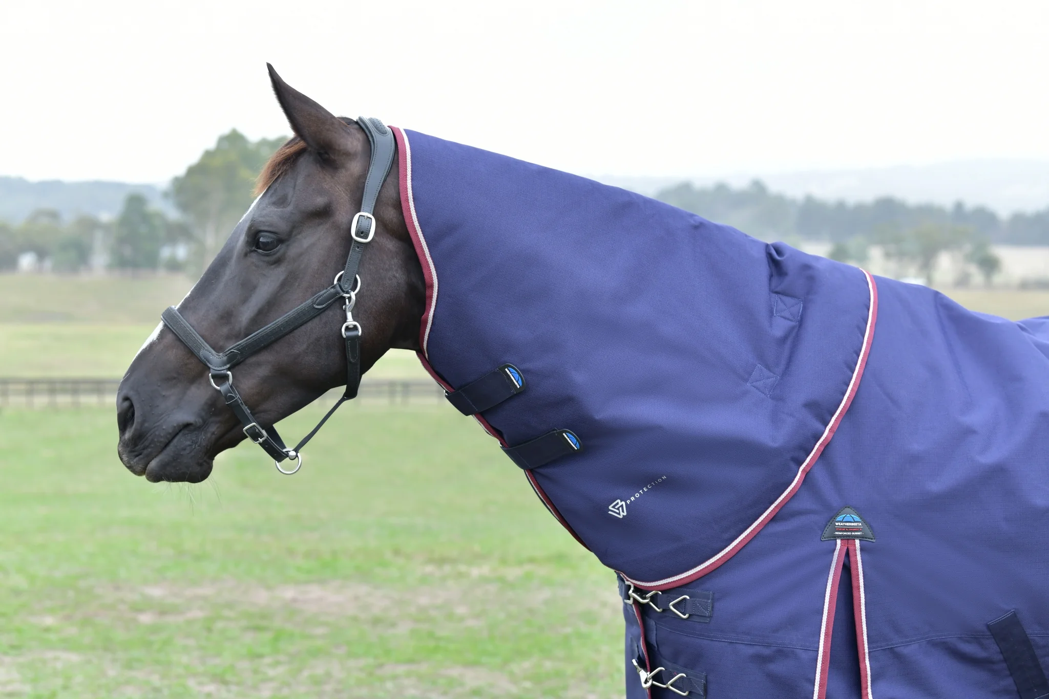 Weatherbeeta ComFiTec Essential Turnout Detach-A-Neck 220g - Image 8
