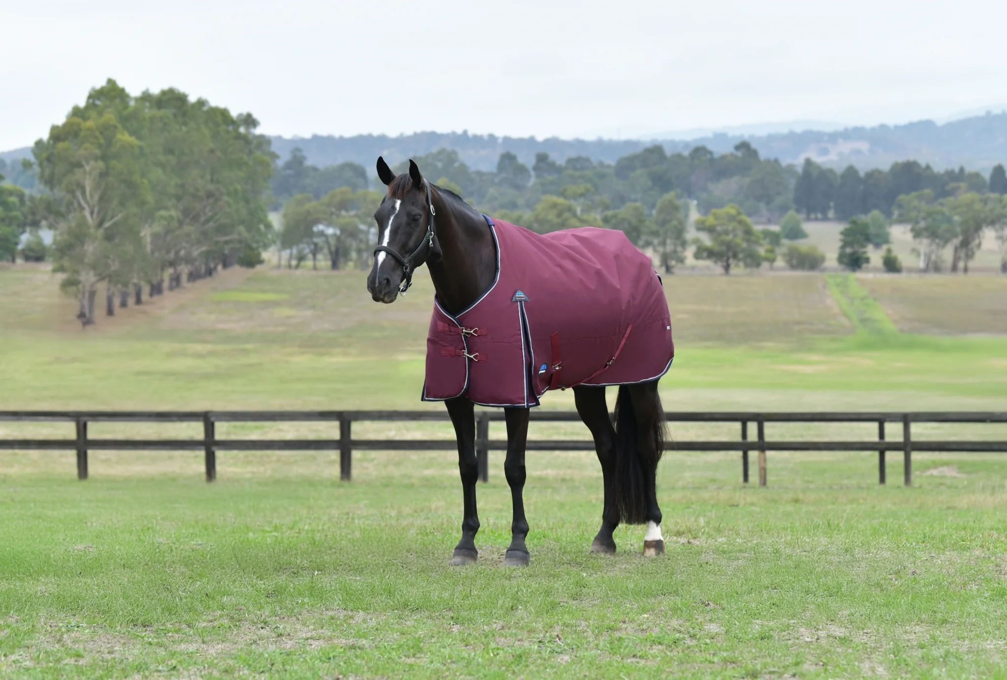 Weatherbeeta ComFiTec Essential Turnout Standard Neck 0g - Image 3