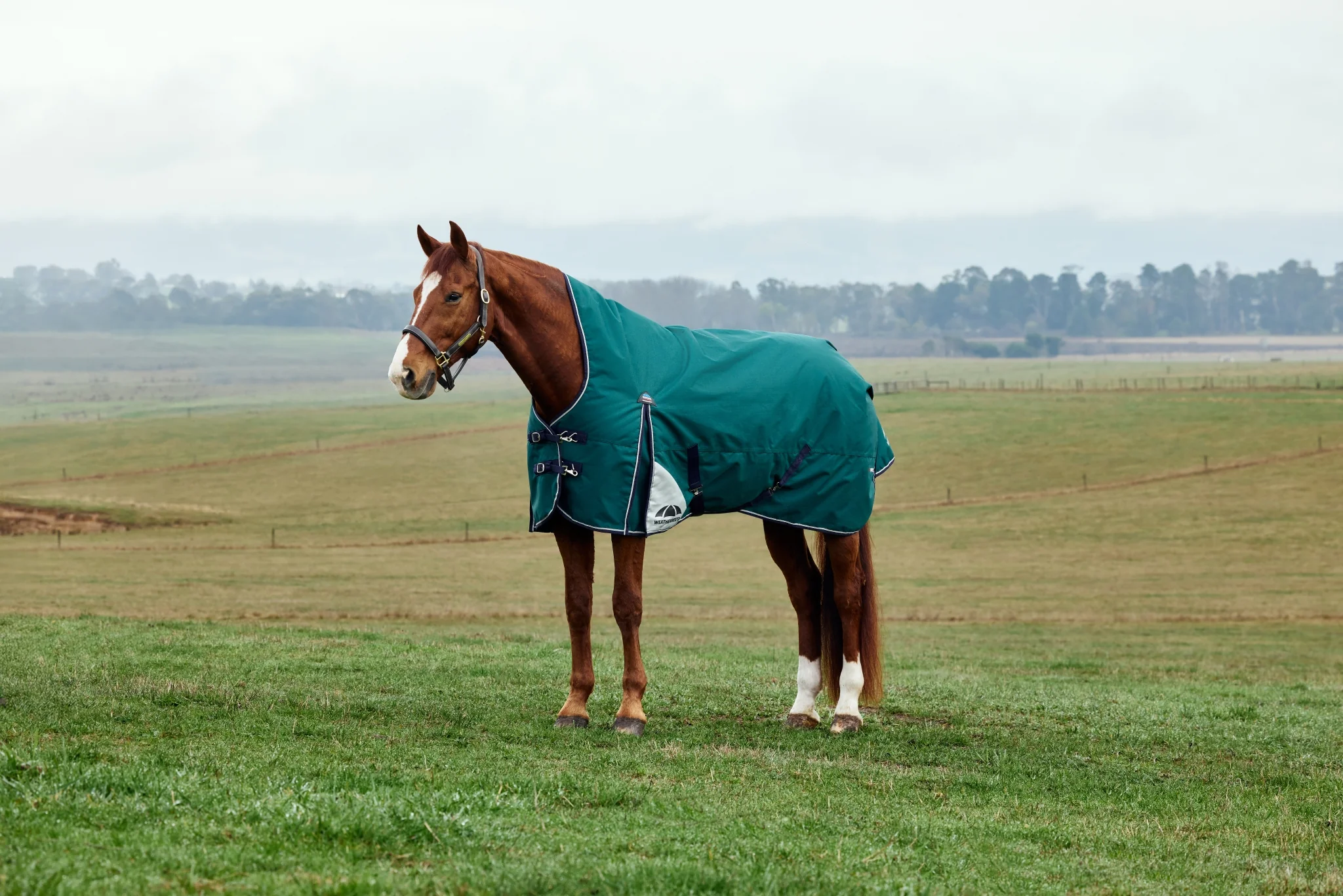 Weatherbeeta ComFiTec Plus Dynamic Turnout High Neck 220g - Image 3