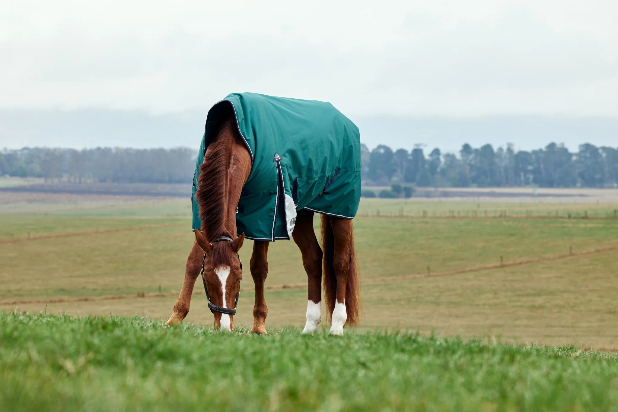 Weatherbeeta ComFiTec Plus Dynamic Turnout High Neck 220g - Image 4