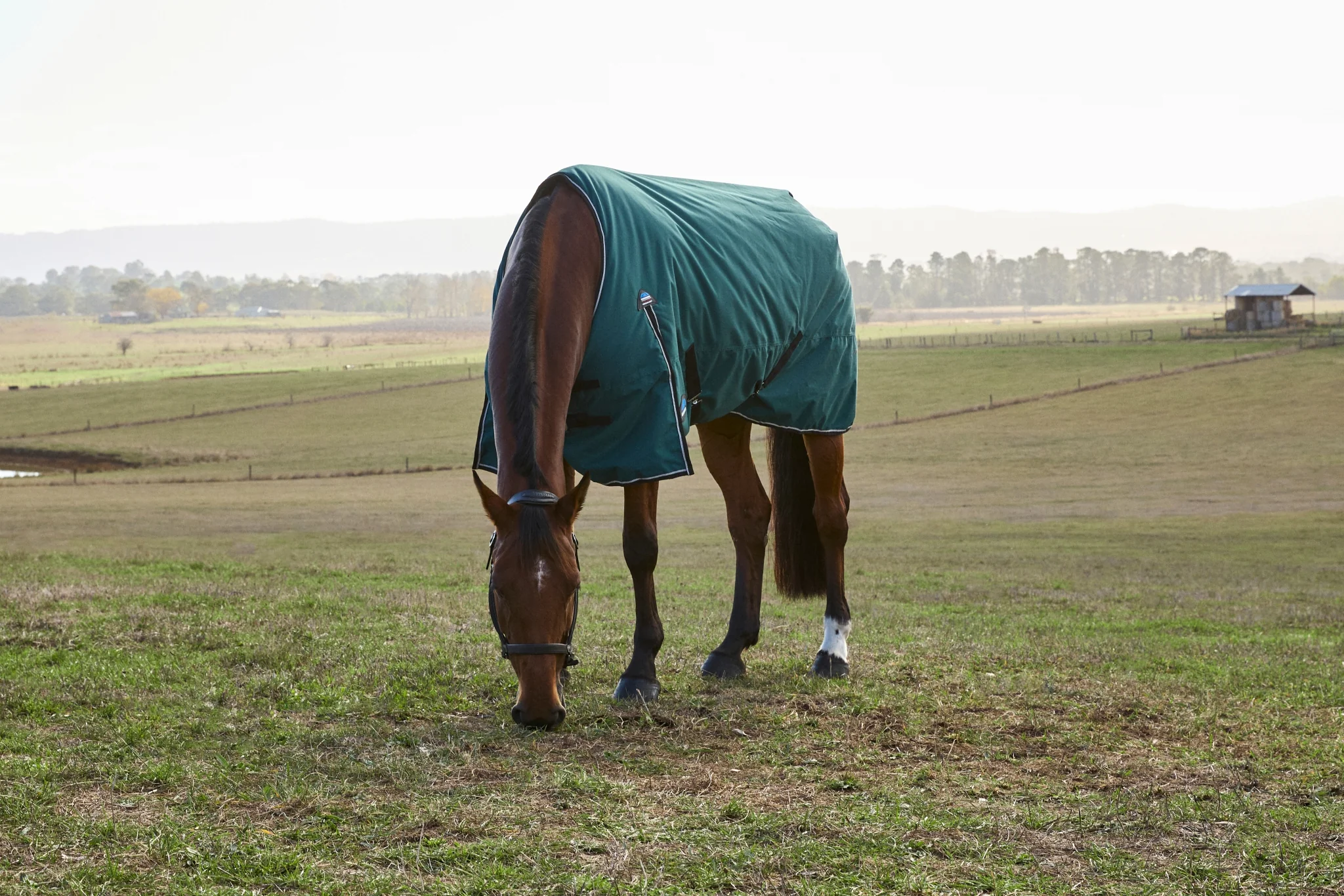 Weatherbeeta ComFiTec Plus Dynamic Turnout Detach-A-Neck 220g - Image 3