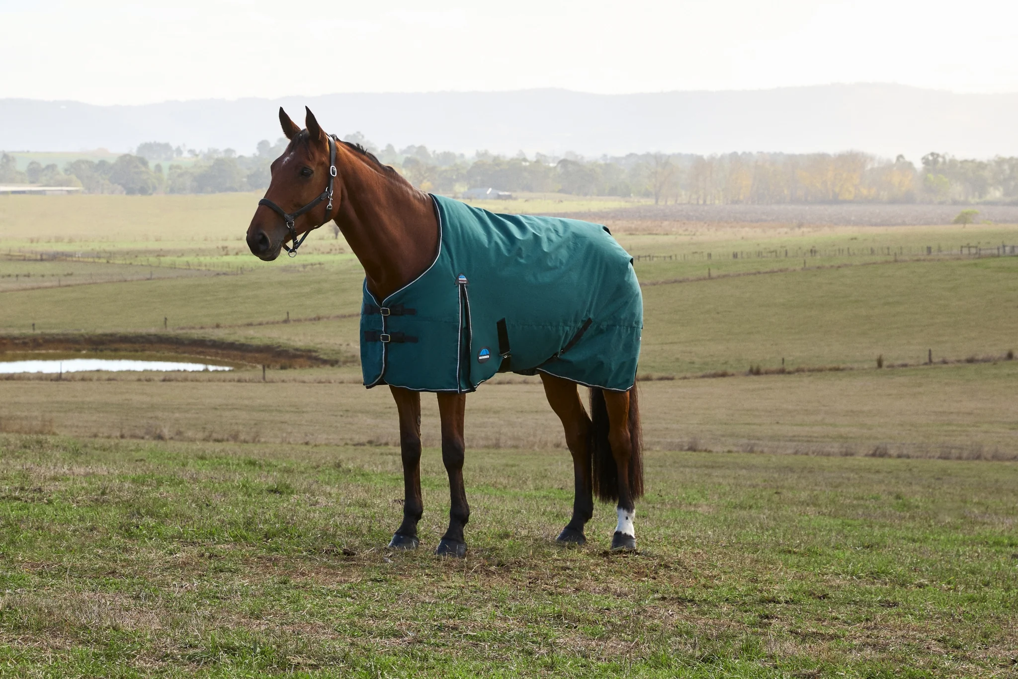 Weatherbeeta ComFiTec Plus Dynamic Turnout Detach-A-Neck 220g - Image 5