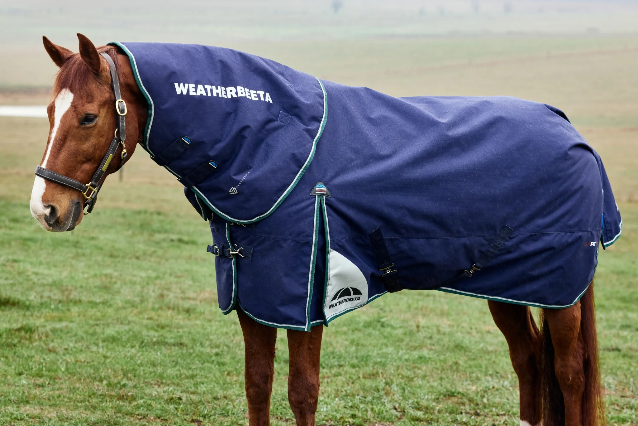 Weatherbeeta ComFiTec Plus Dynamic Turnout Detach-A-Neck 220g - Image 6