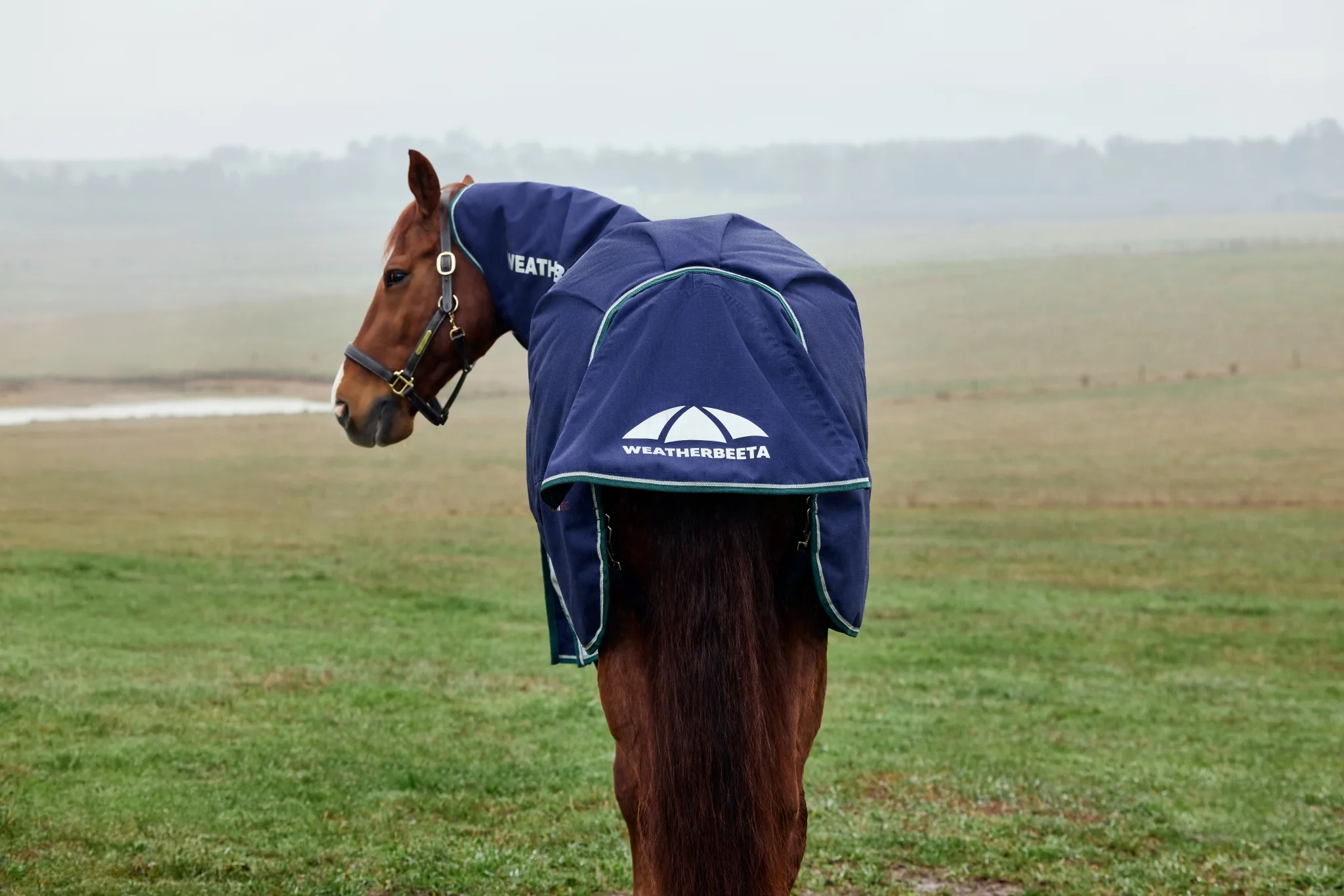 Weatherbeeta ComFiTec Plus Dynamic Turnout Detach-A-Neck 220g - Image 8