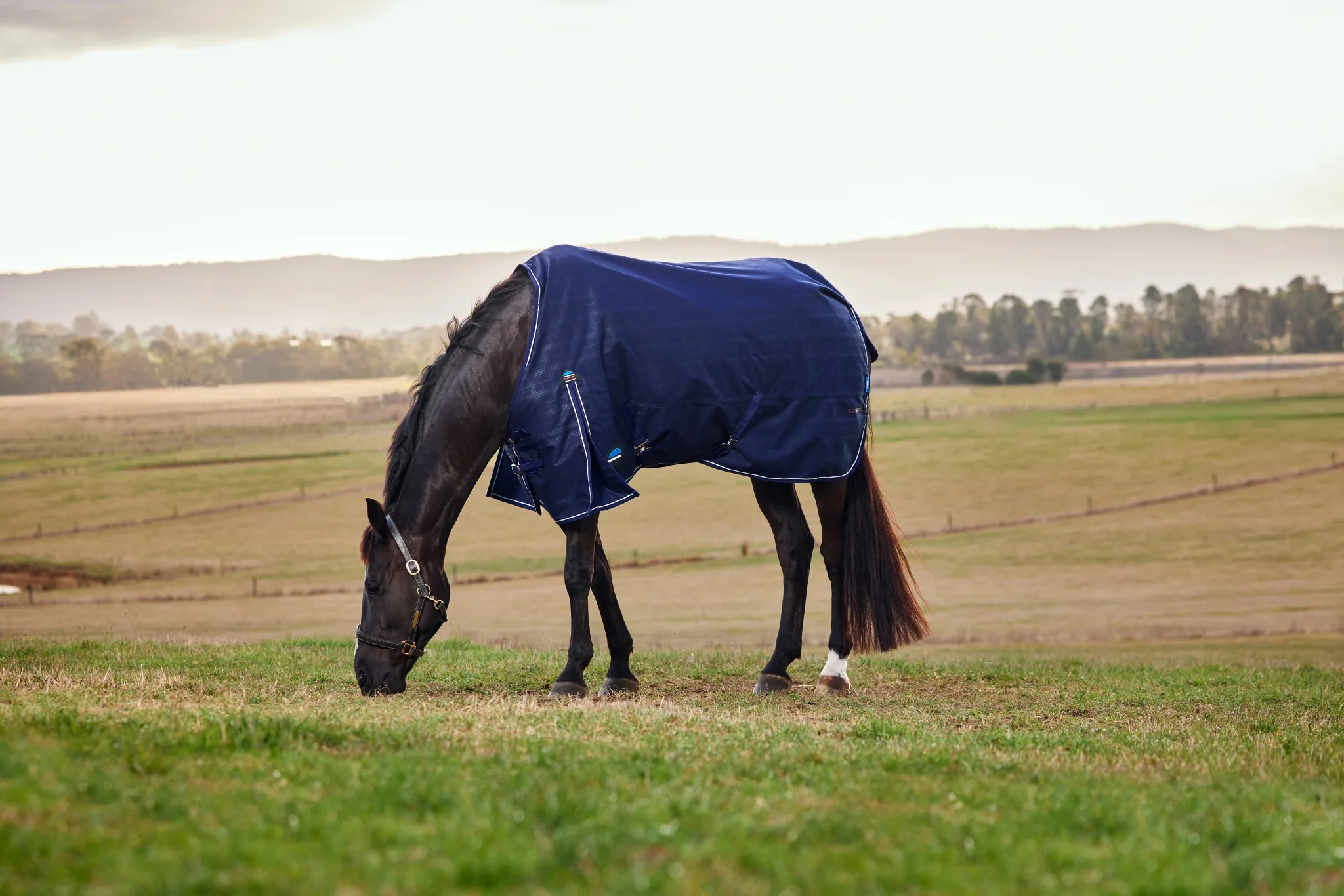 Weatherbeeta ComFiTec Prelim Turnout Standard Neck 0g - Image 3