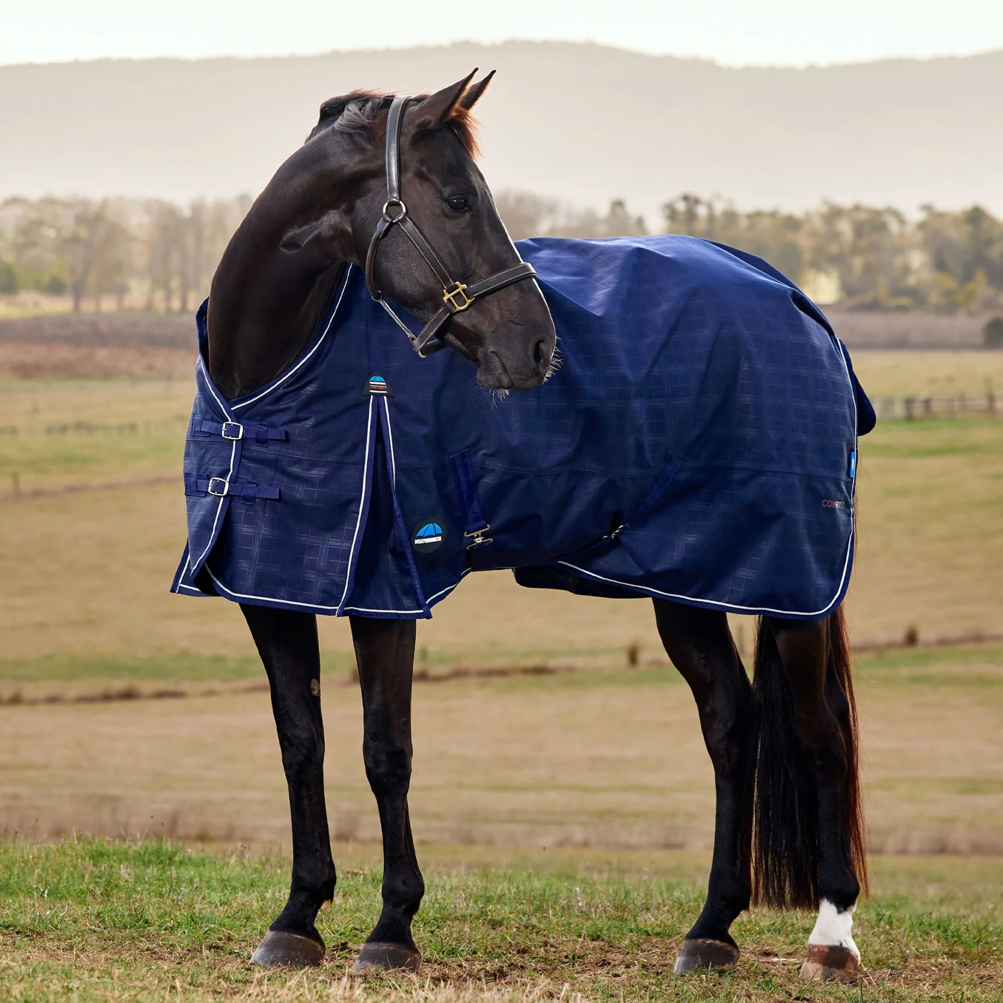 Weatherbeeta ComFiTec Prelim Turnout Standard Neck 360g - Image 2