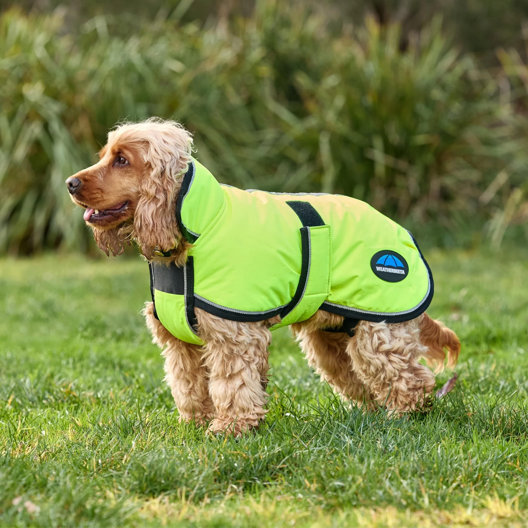 Weatherbeeta ComFiTec Reflective 300D Deluxe Showerproof Dog - Image 10