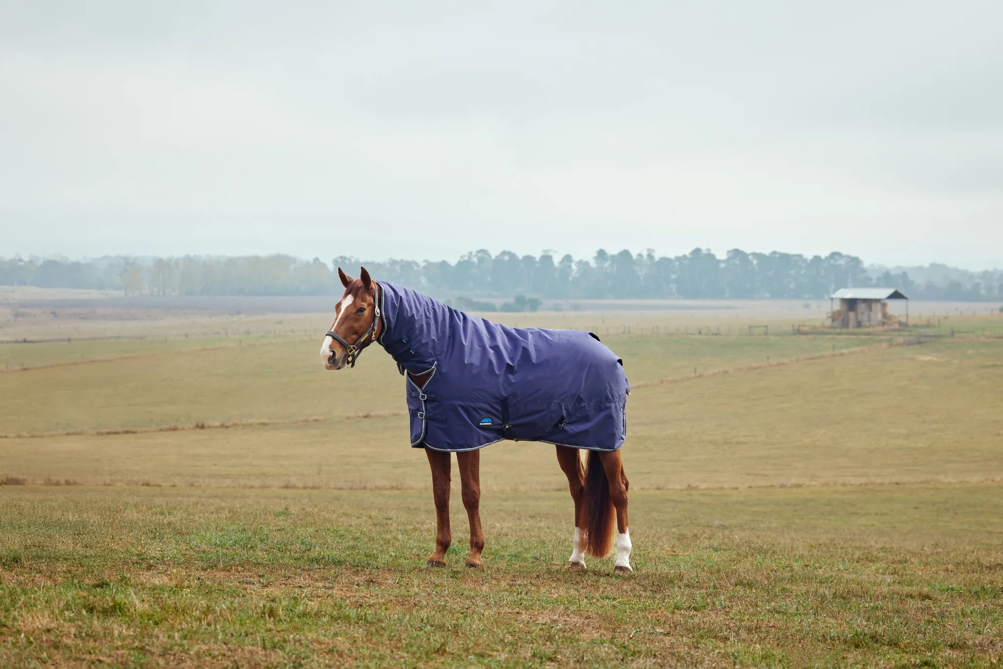 Weatherbeeta ComFiTec Tyro Turnout Combo Neck 50g - Image 2