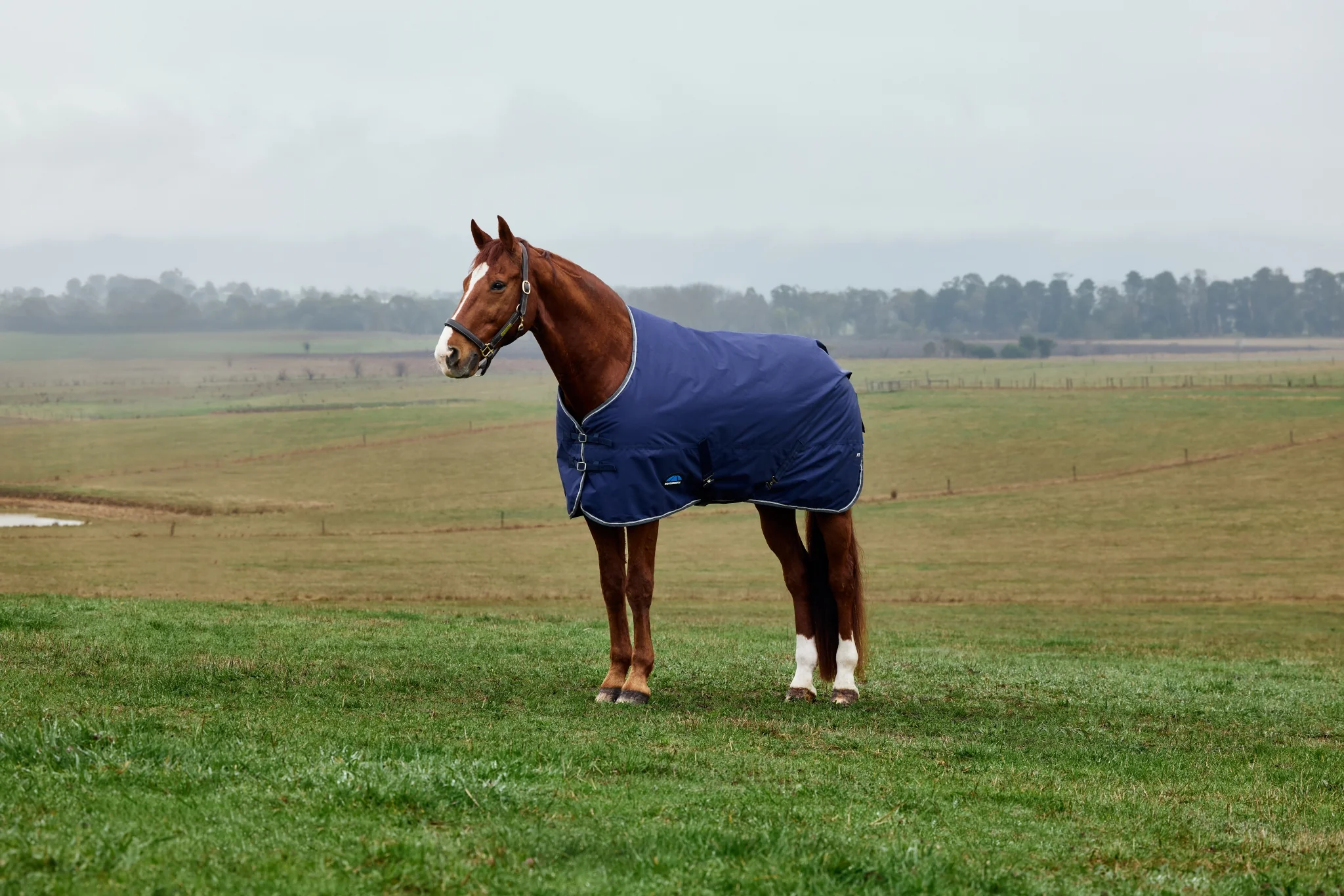 Weatherbeeta ComFiTec Tyro Turnout Standard Neck 220g - Image 4
