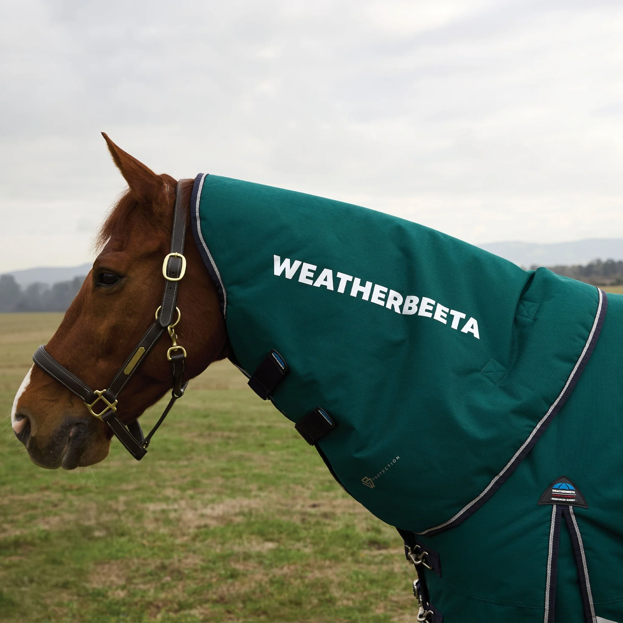 Weatherbeeta ComFiTec Plus Dynamic Turnout Neck Cover 100g - Image 3