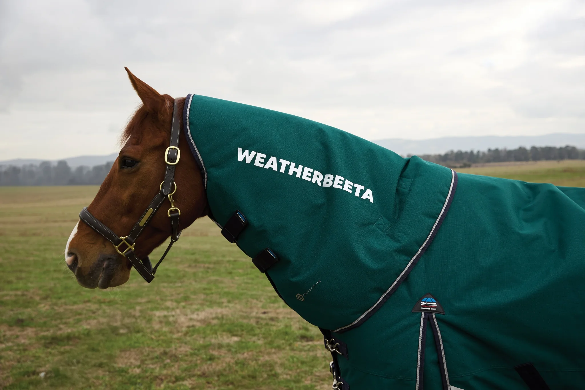 Weatherbeeta ComFiTec Plus Dynamic Turnout Neck Cover 220g - Image 3